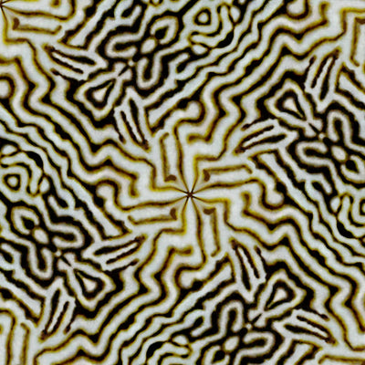 海洋生物設計印花－河豚迷宮紋Map Pufferfish