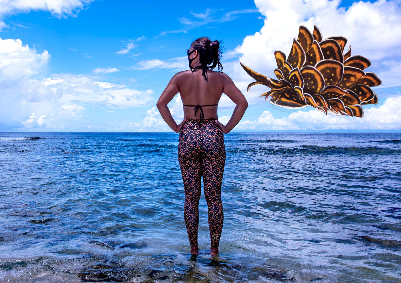 SEXYFISH WEAR 海洋時尚緊身褲 黑美葉海蛞蝓 Cyerce nigricans Leggings