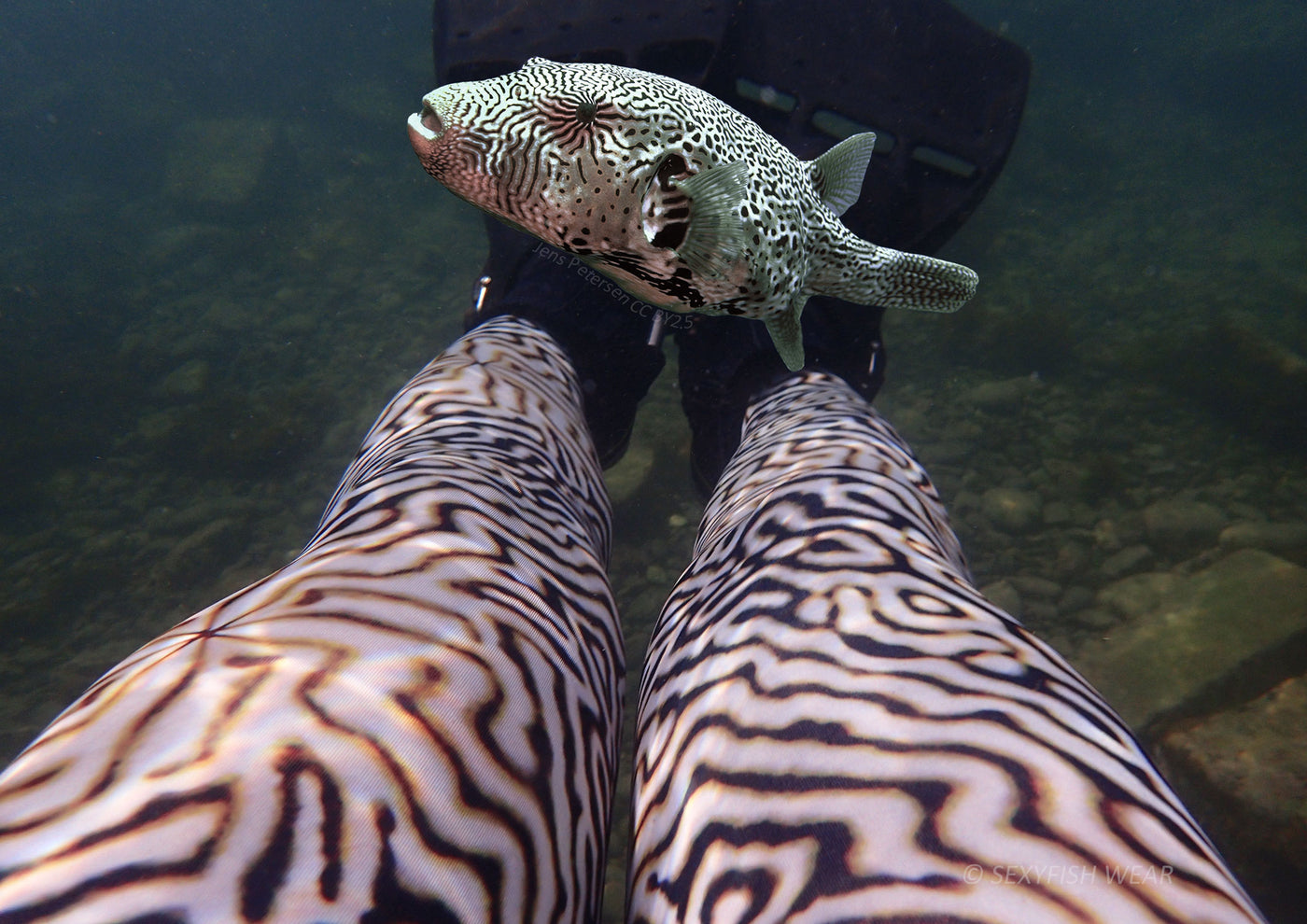 SEXYFISH WEAR【海洋時尚緊身褲】河豚地圖紋 Map Pufferfish Leggings